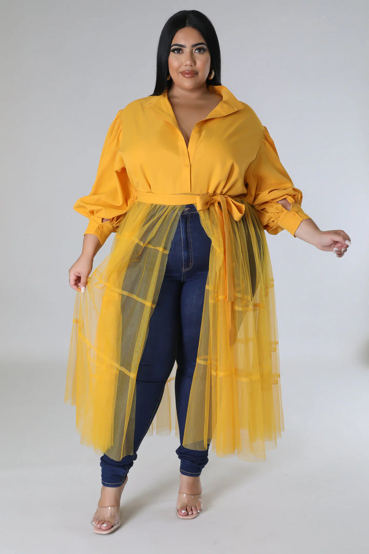Tulle Fantasy Balloon Sleeve Top (More colors)