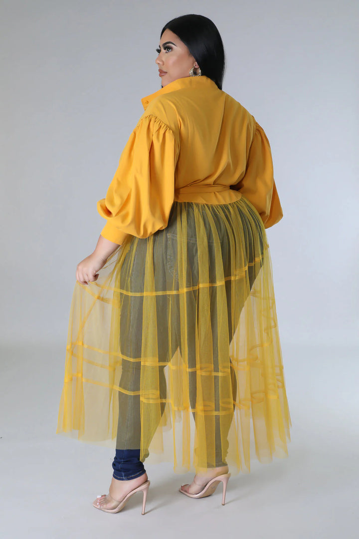 Tulle Fantasy Balloon Sleeve Top (More colors)