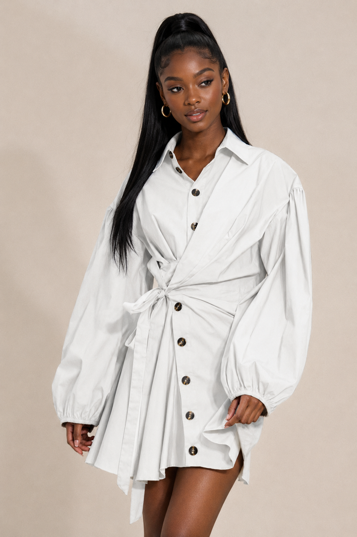 Monroe Manor Shirt Dress