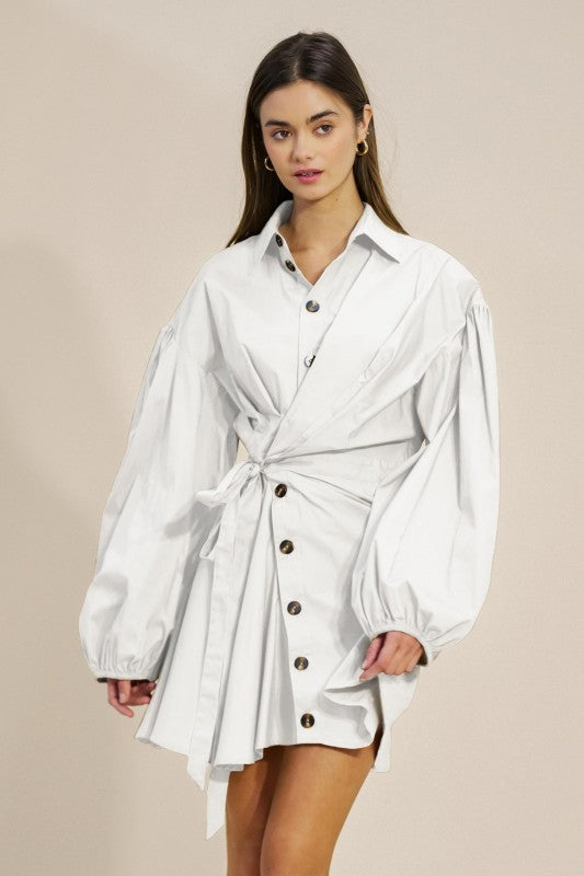 Monroe Manor Shirt Dress