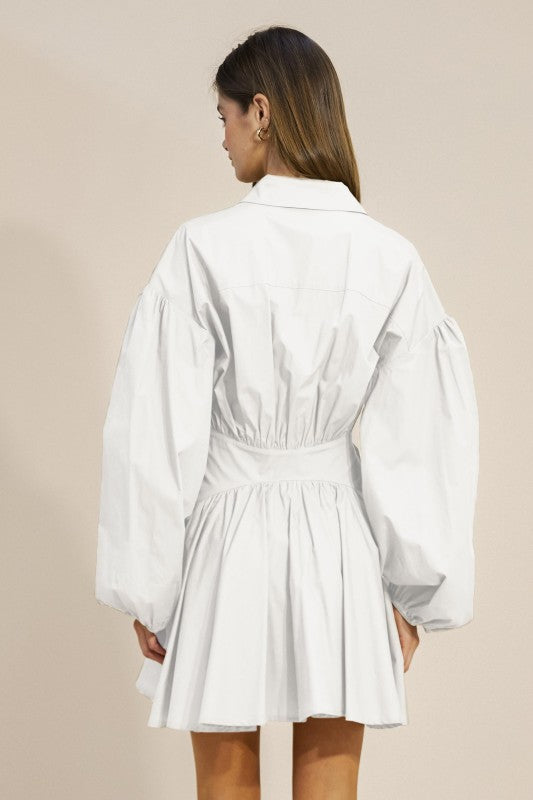 Monroe Manor Shirt Dress