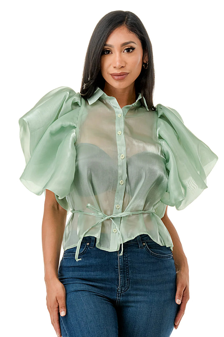 LaLa Sheer Puff Top