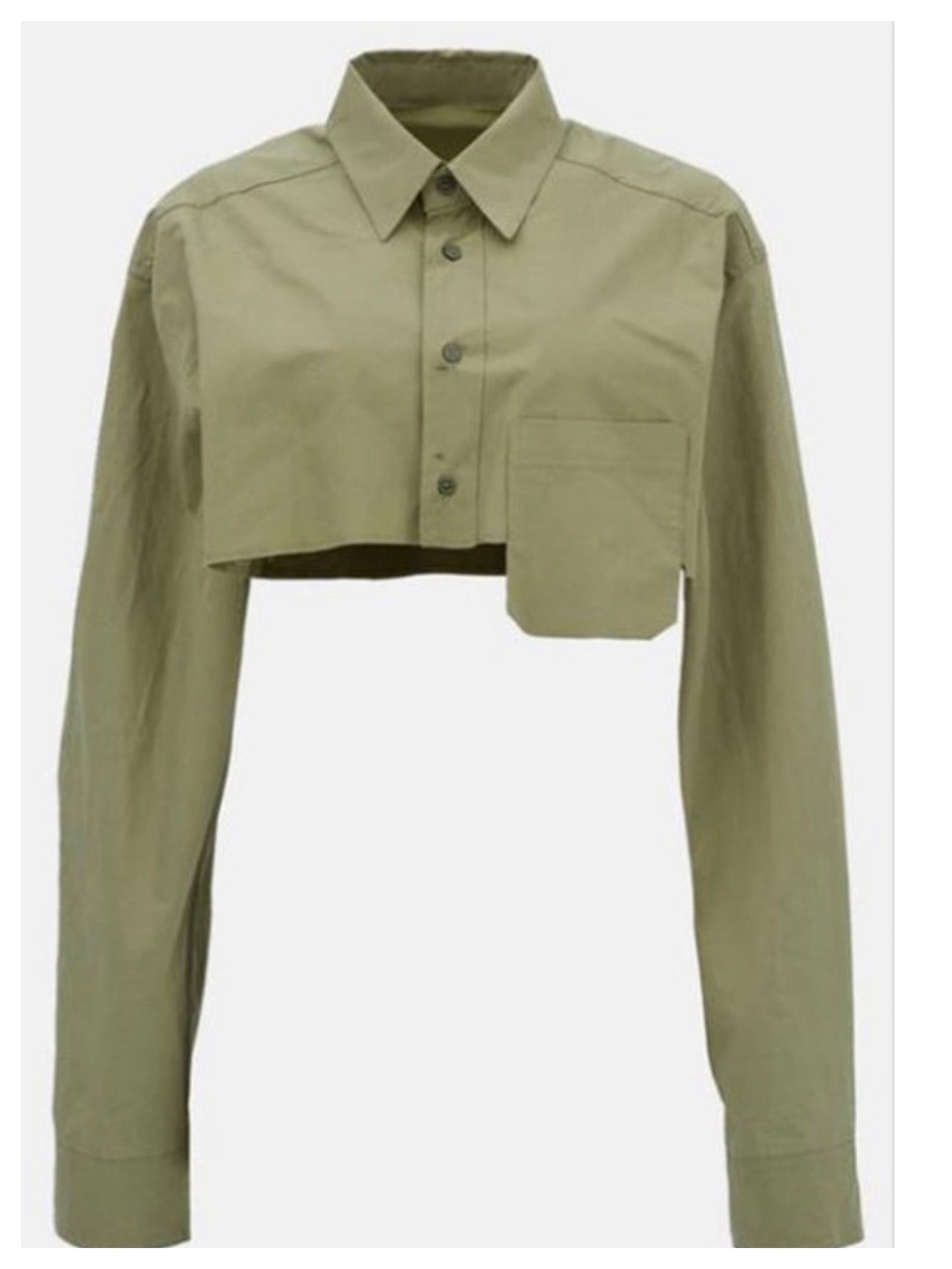 Maxed out Too Crop Long Sleeve Top (Olive)